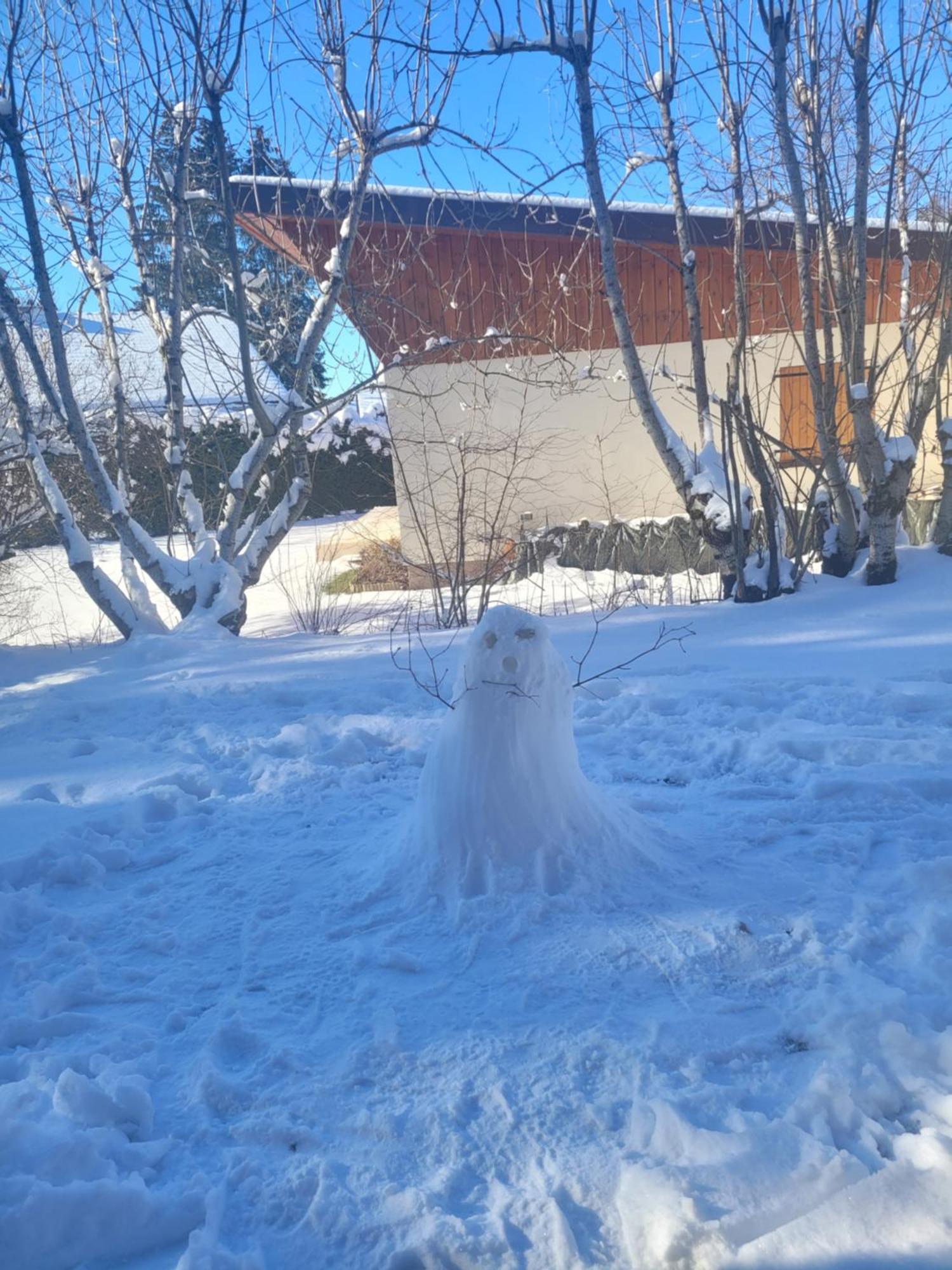 Appartement Le Flocon, Joli Petit Cocon 4 Pers En Rez De Jardin Draps Inclus Les Rousses Buitenkant foto